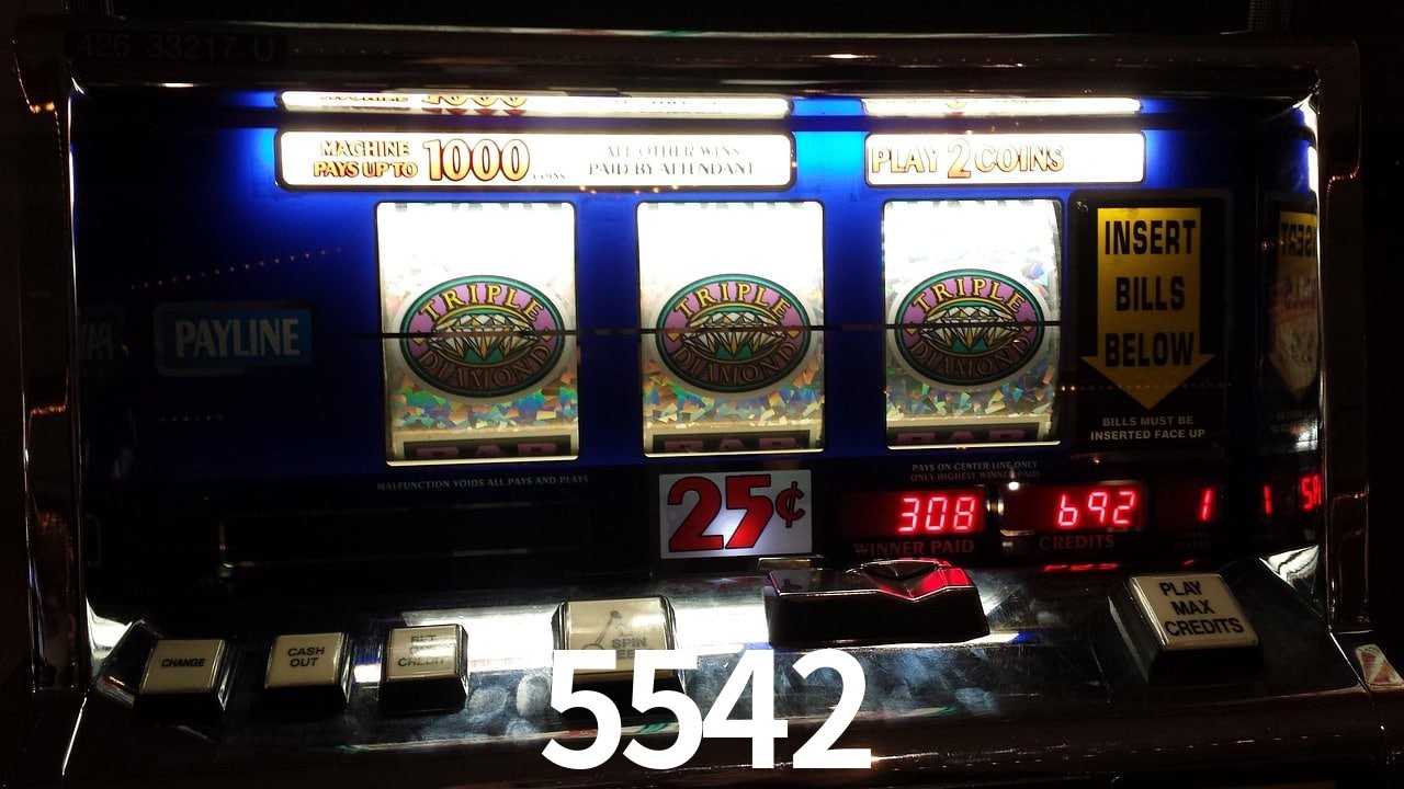 Experiência VIP 5542